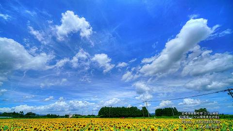 宮崎市田野町のヒマワリ畑（二ツ山地区）