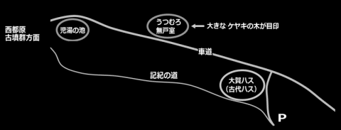 西都市「記紀の道」の大賀ハス（古代ハス)