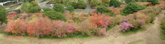 高取山展望台より下を望む 01